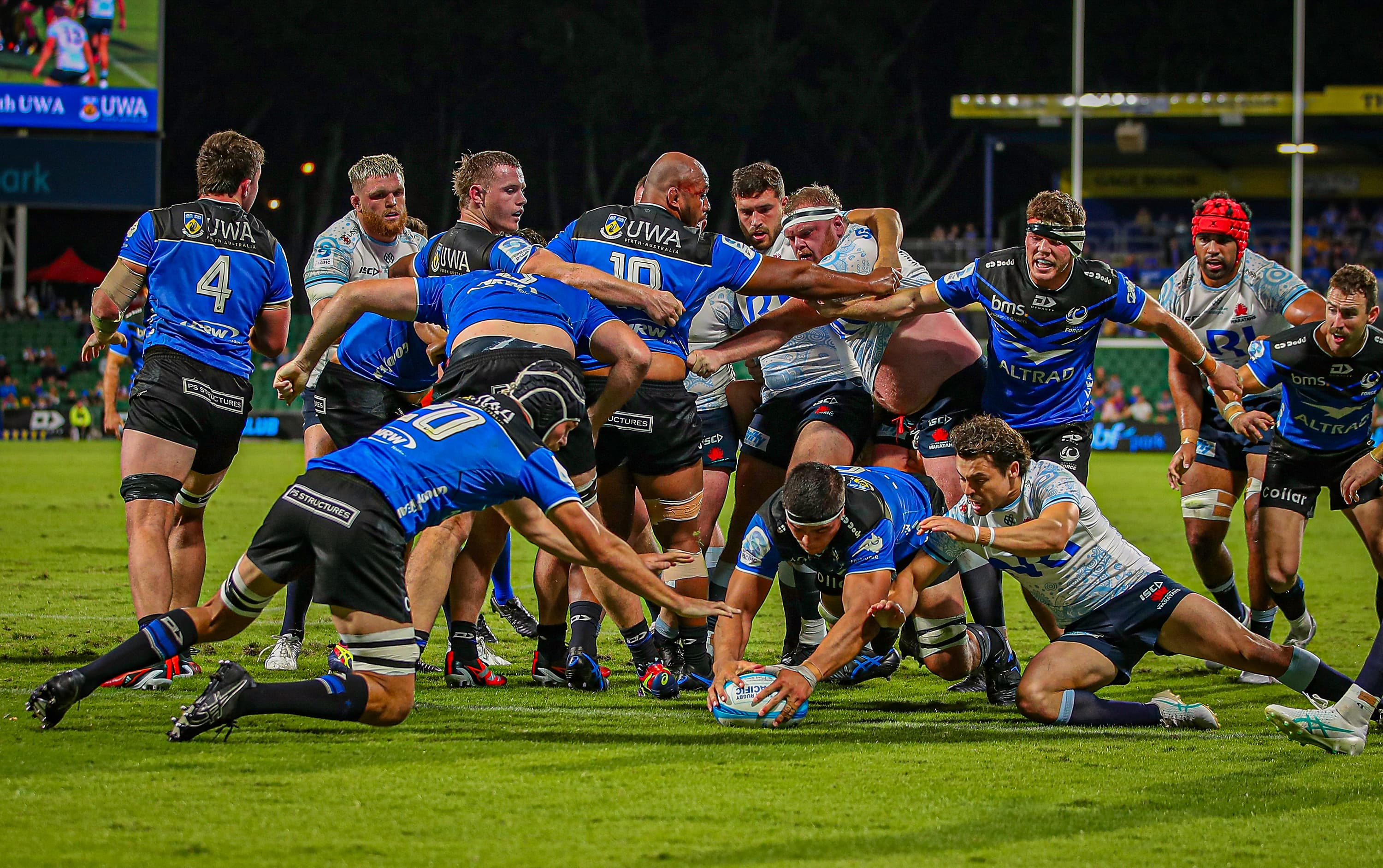 WF_brand impact_tile_3