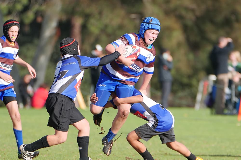 Dispensation information of the 2020 season