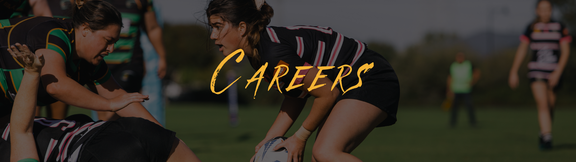 RugbyWA - about us - careers