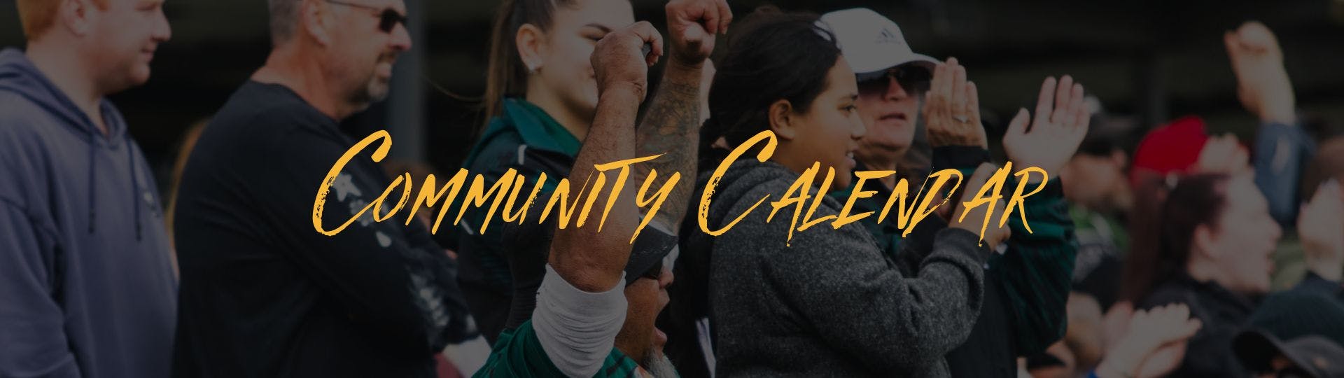 RugbyWA - news - community calendar 