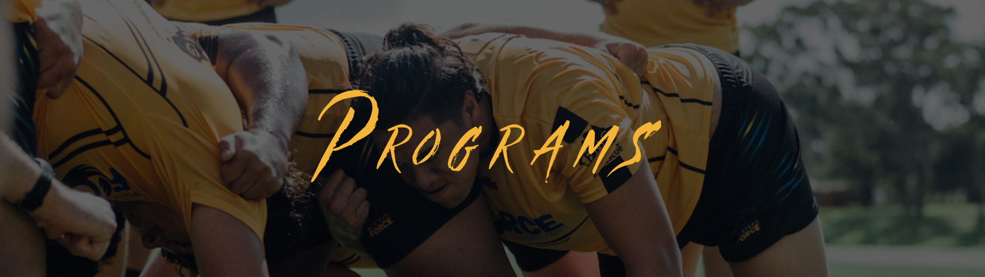 RugbyWA - performance programs 