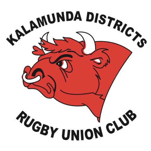 Kalamunda Bulls U12's