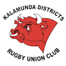Kalamunda Bulls U10's